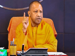 yogi
