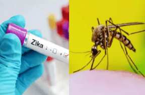zika