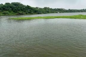 Banas River