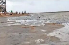 KUTCH, White desert
