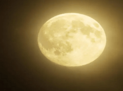 MOON