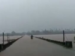 Rain, valasad