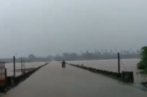 Rain, valasad