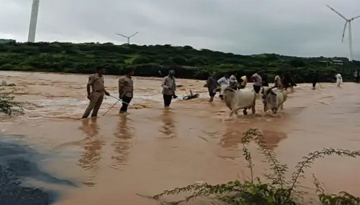 કચ્છના અંજારમાં વરસાદી પાણીમાં ફસાયેલી 150 ગાયોને પોલીસે બચાવી લીધી