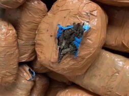 Ahmadabad, drugs cought