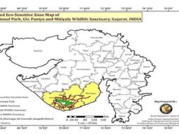 Gir Eco Sensitve zone-1