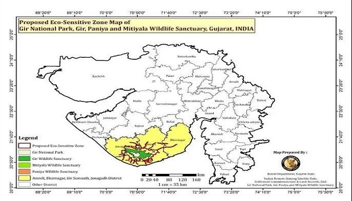 ગીર રક્ષિત આજુબાજુનો 1,84 લાખ હેકટર વિસ્તાર ઈકો સેન્સિટિવ ઝોન જાહેર કરાયો