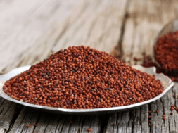 RAGI