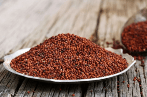 RAGI