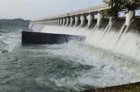 Shetrunji, Dam