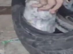 drugs in tire