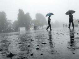 rain