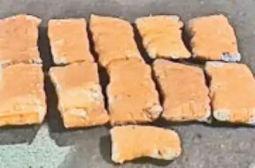 DRUG CAUGHT