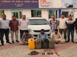 Diesel thieves gang
