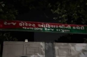 RFO, Rajula