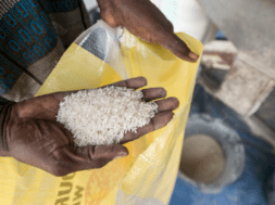 RICE