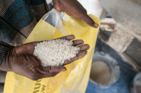 RICE