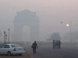 delhi
