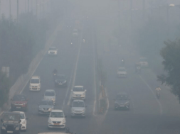 delhi