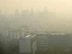 delhi