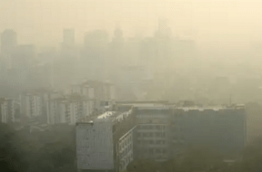 delhi