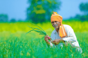 farmer