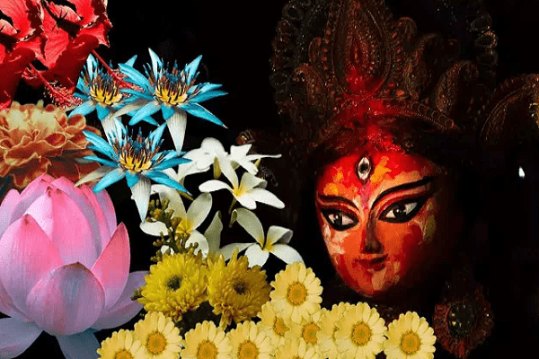 નવરાત્રિ દરમિયાન દેવી દુર્ગાને આ ખાસ ફૂલો ચઢાવો