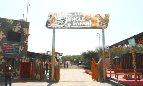 બરડા પંથકમાં સંભળાશે એશિયાઇ સિંહોની ડણક