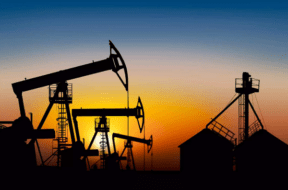 oil