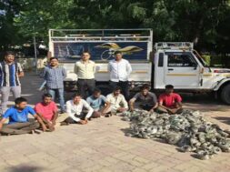patan, gang caught, stealing wires