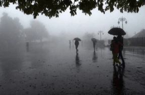 rain