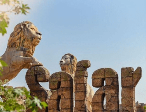 બરડા ડુંગર રેન્જમાં લાયન સફારીનો આરંભ, હવે પ્રવાસીઓ અહીં પણ કરી શકશે સિંહદર્શન