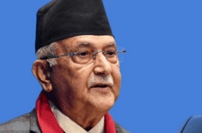 PM OLI
