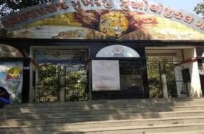 Surat,zoo