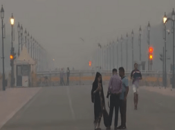 delhi