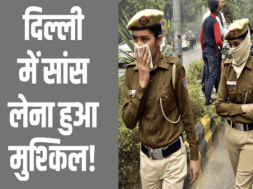 delhi