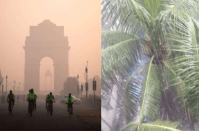 delhi