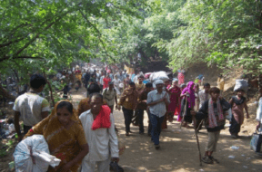 girnar lili parikrama