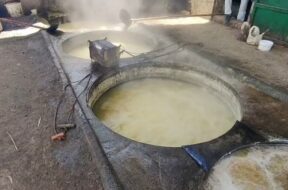 jaggery rabada