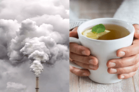 pollusion