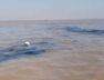 Alang, pollution in the sea