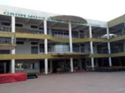 B Z group, grow more school