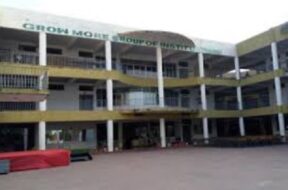 B Z group, grow more school