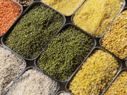 chana dal