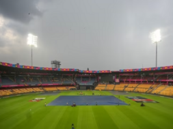cricket
