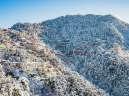 simla