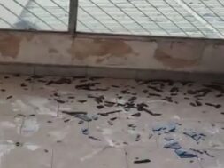 Blast in vadodara house
