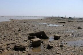 Ghogha