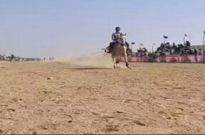 Horse racing