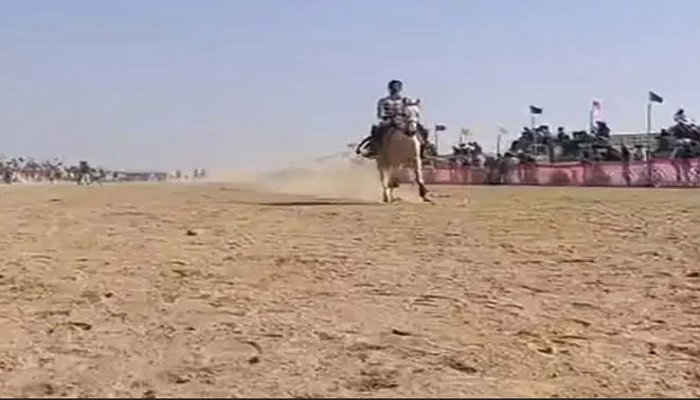 કચ્છમાં વેકરિયાના રણમાં 150 પાણીદાર અશ્વોની 6 કિમીની રેસ યોજાઈ
